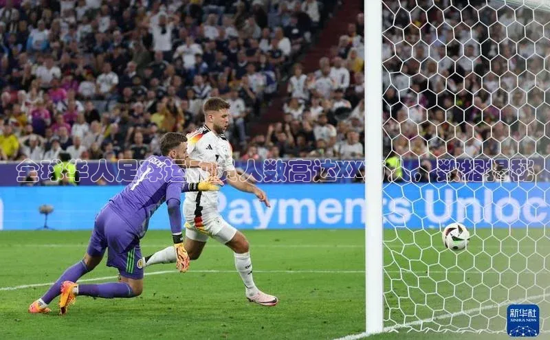 谈球吧网app官网下载如流