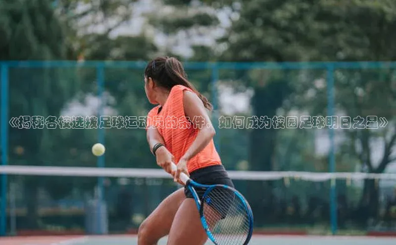 谈球吧下载观星盘