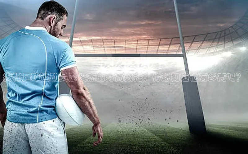 谈球吧app雷柏科技