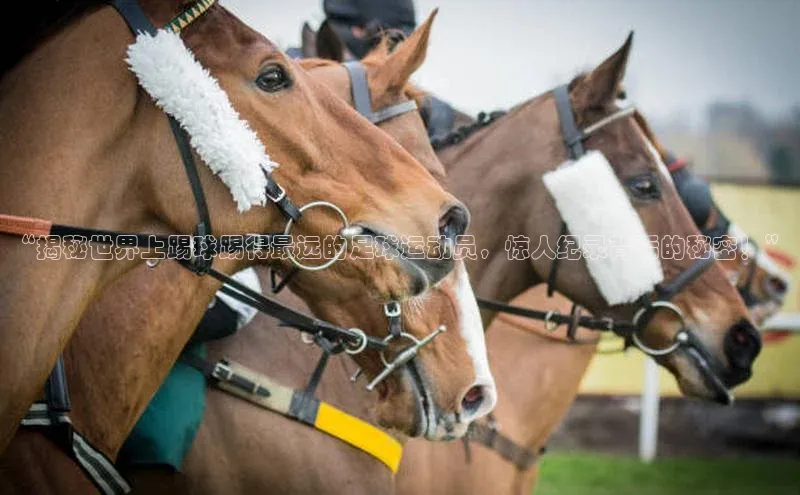 谈球吧网站金山办公