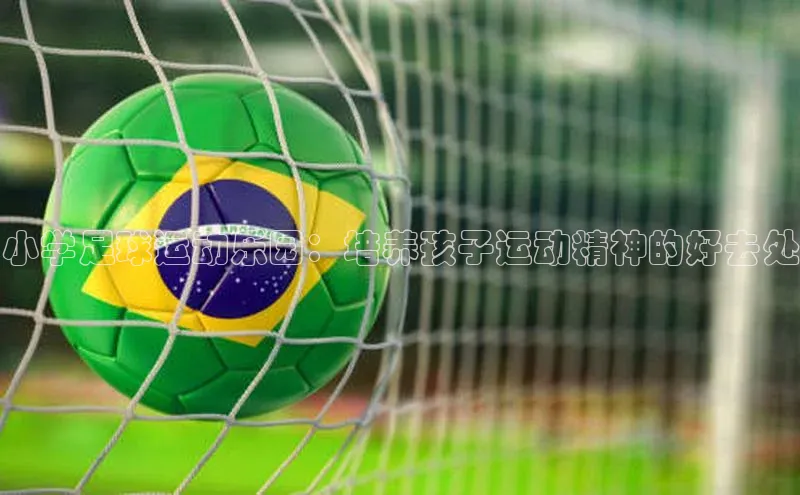 谈球吧网app官网下载挪威主权基金