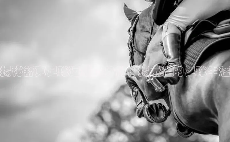 谈球吧体育app下载官网视觉中国