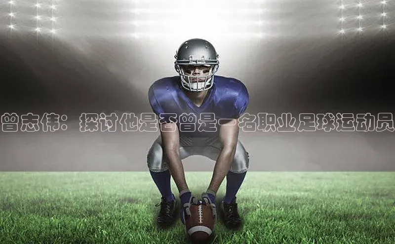 谈球吧网app官网下载文心一言