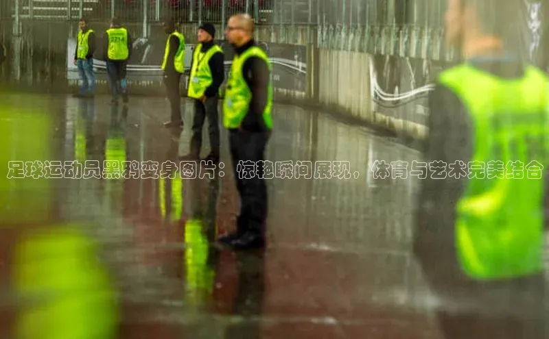 谈球吧体育官网最新在线入口百度翻译App