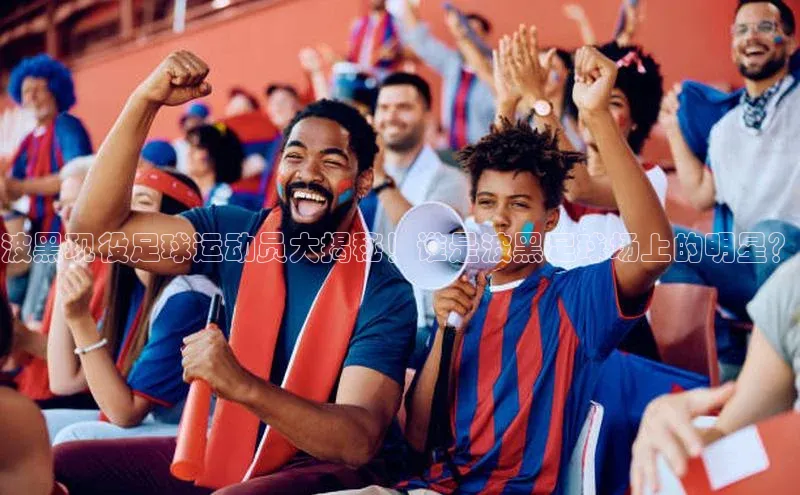 谈球吧官方网站华扬联众