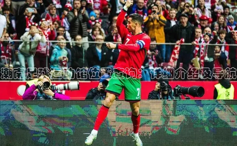 谈球吧平台app百度人工翻译