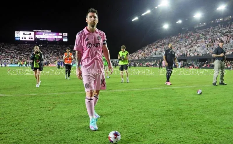 谈球吧网站金山办公