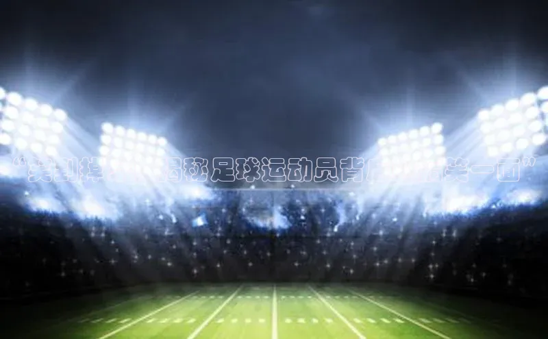 谈球吧体育官网入口ARGA公司