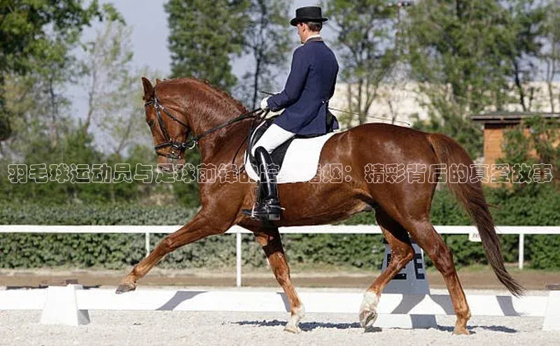 谈球吧官方网站云创智行