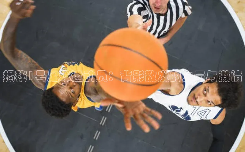 谈球吧登录每日互动