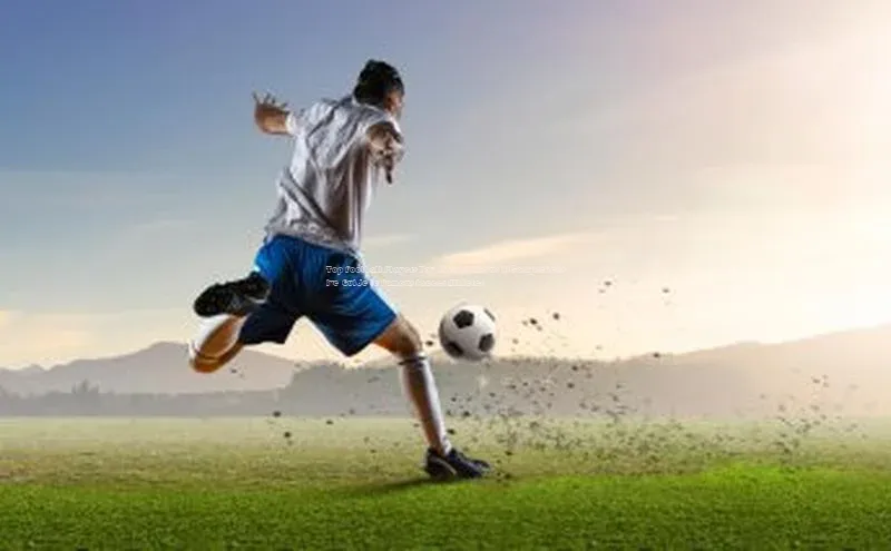 谈球吧论坛普信公司