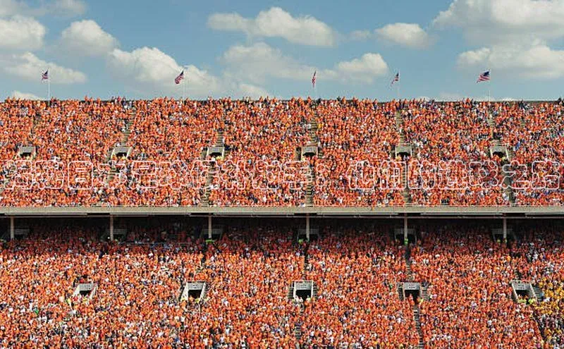 谈球吧网页版中文在线