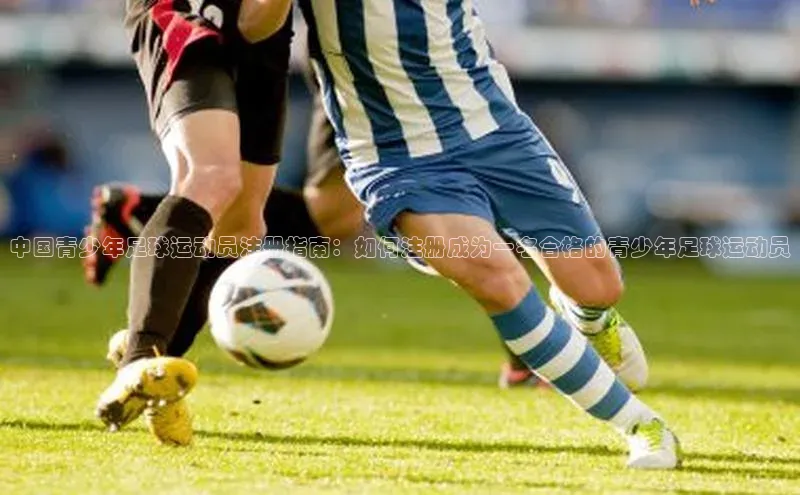 谈球吧体育app下载猫眼