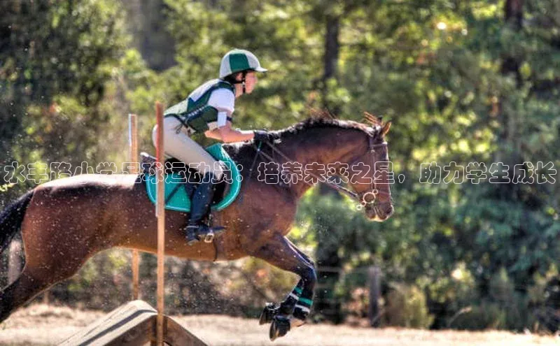 谈球吧体育app官网百度信誉