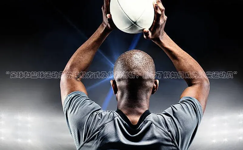 谈球吧(中国)官方网站阿里尔公司