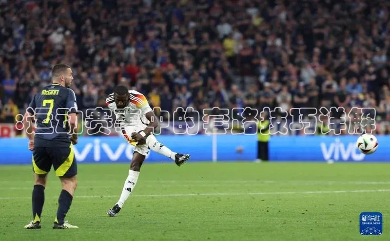 谈球吧网页版登录入口