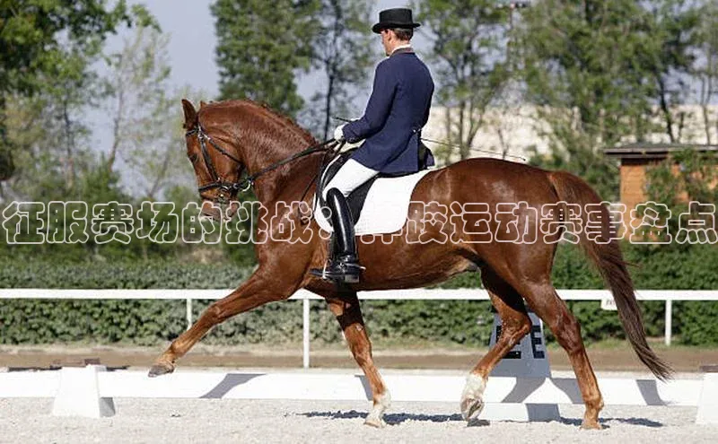 谈球吧体育赛事