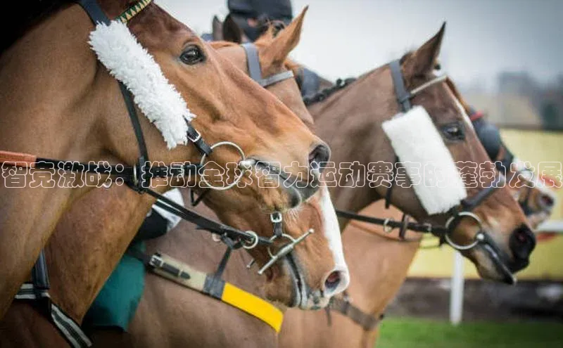 谈球吧.(china)官方网站
