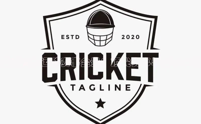 谈球吧体育官网入口