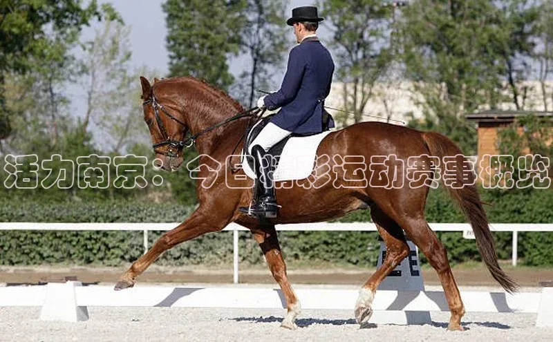 谈球吧体育龙门直播