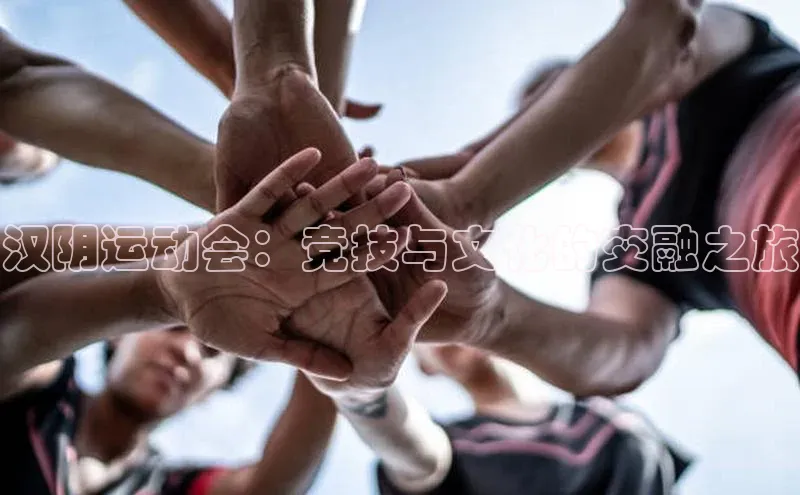 谈球吧网app官网下载