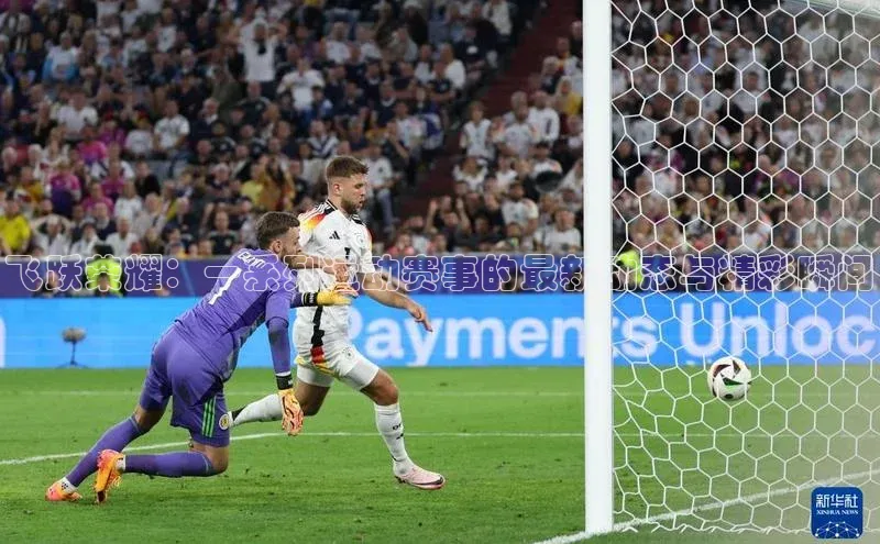 谈球吧体育官网入口