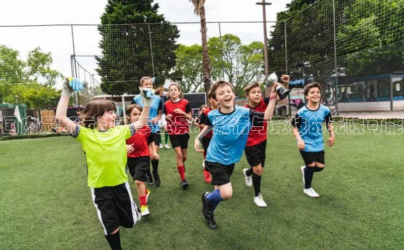 谈球吧网页登录