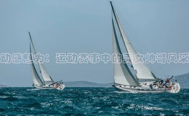 谈球吧网页版登录入口